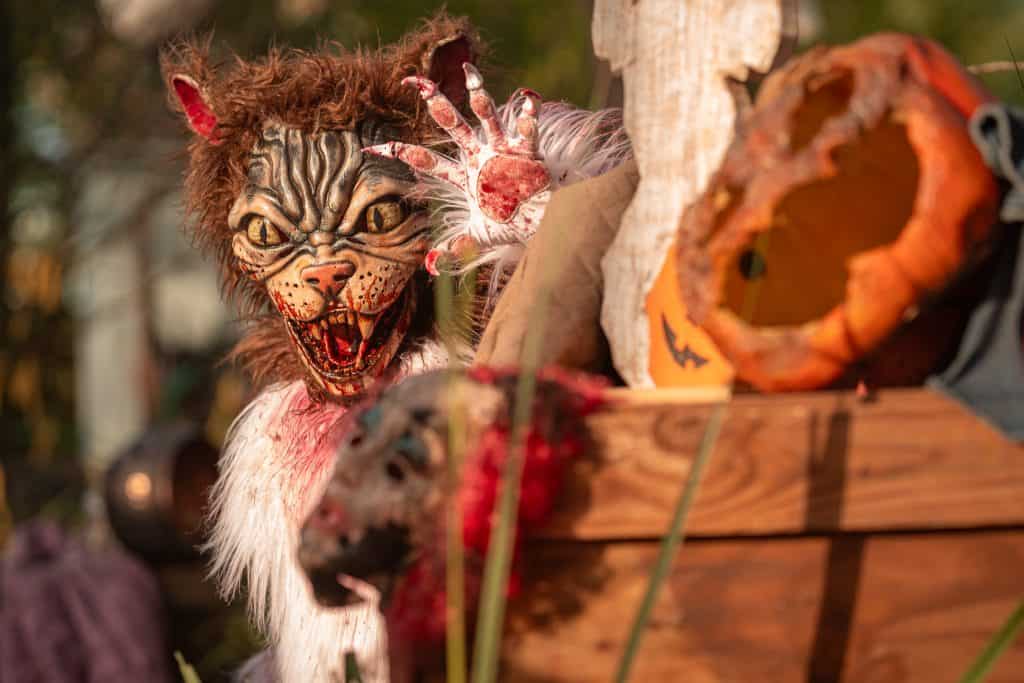 The Cat Lady of Crooked Lane at Halloween Horror Nights 2025
