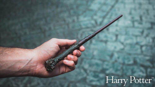 Harry Potter interactive wand