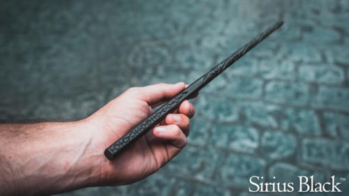 Sirius Black interactive wand