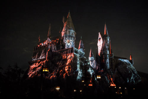 Dark Arts at Hogwarts Castle