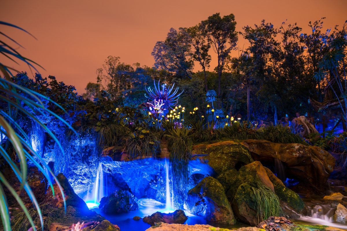 Pandora_-_The_World_of_Avatar_at_night_at_Disney's_Animal_Kingdom_(4).jpg
