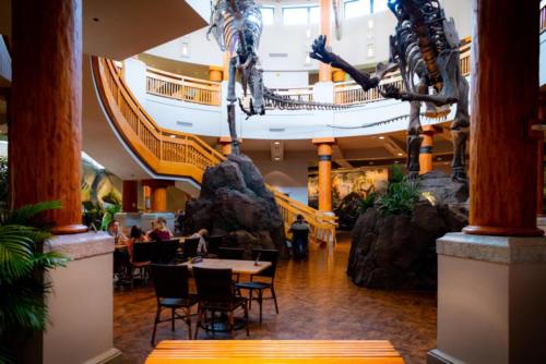 Jurassic Park Annual Passholders' Lounge
