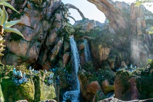 Avatar Flight of Passage in Pandora at Disney World's Animal Kingdom