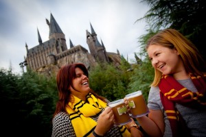 The Wizarding World of Harry Potter Hogsmeade in Islands of Adventure at Universal Orlando Resort