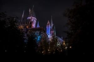 The Wizard World of Harry Potter - Hogsmeade.   
