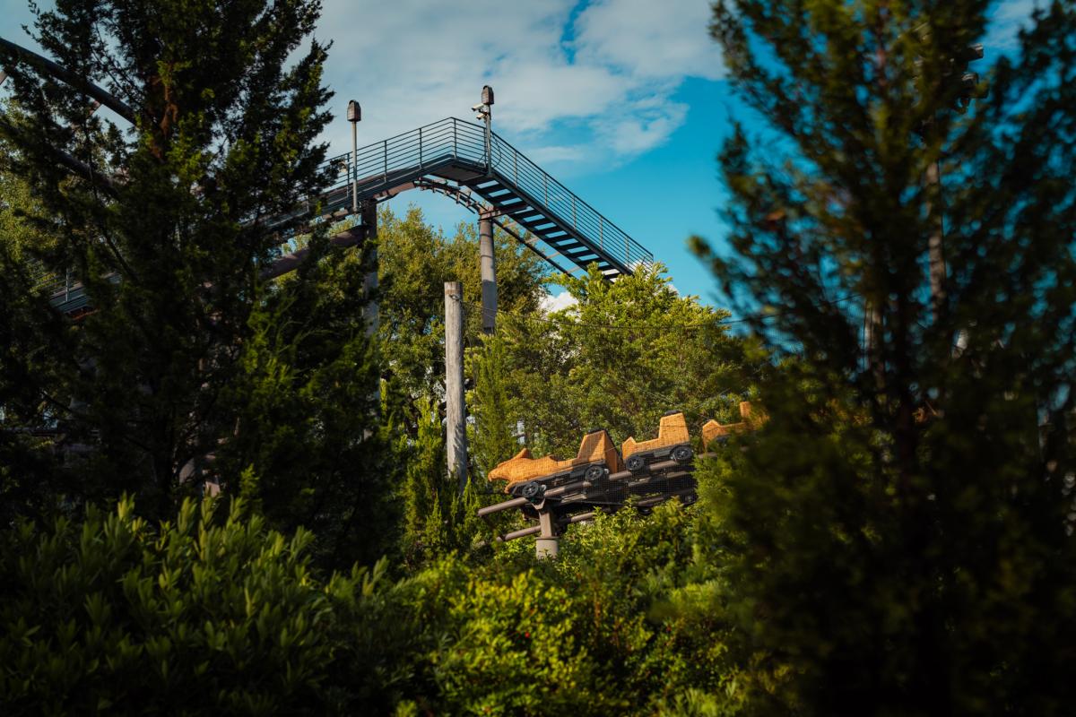 Flight of the Hippogriff at Universal's Islands of Adventure
