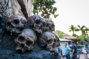 Skull Island: Reign of Kong 