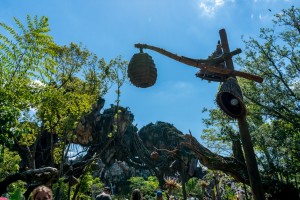 Pandora: World of Avatar at Disney's Animal Kingdom