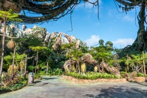 Pandora: World of Avatar at Disney's Animal Kingdom