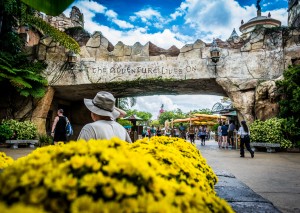 Port of Entry at Universal's Islands of Adventure