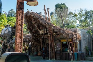 Pongu Pongu in Pandora: The World of Avatar at Disney World's Animal Kingdom