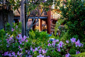 Popeye & Bluto's Bilge-Rat Barges at Universal's Islands of Adventure 