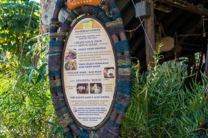 Satu'li Canteen in Pandora: The World of Avatar at Disney World's Animal Kingdom
